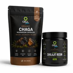 Immunity Stack - 30 Chaga Capsules + 50g Shilajit Resin
