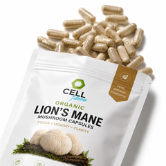 Organic Lions Mane Capsules