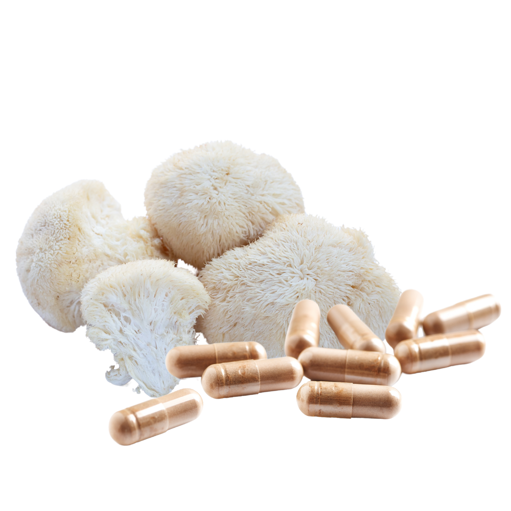 Organic Lions Mane Capsules