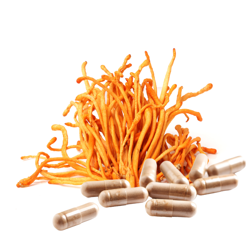 Organic Cordyceps Capsules