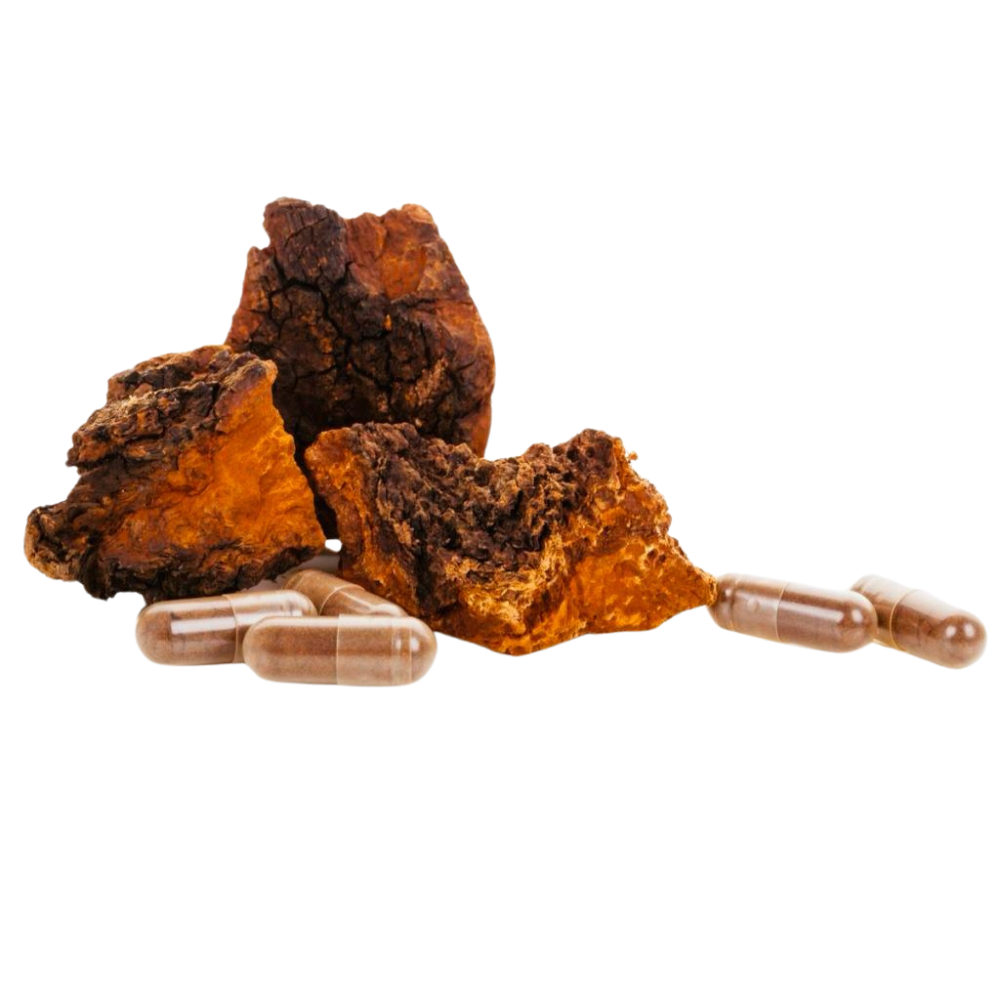 Organic Siberian Chaga Capsules