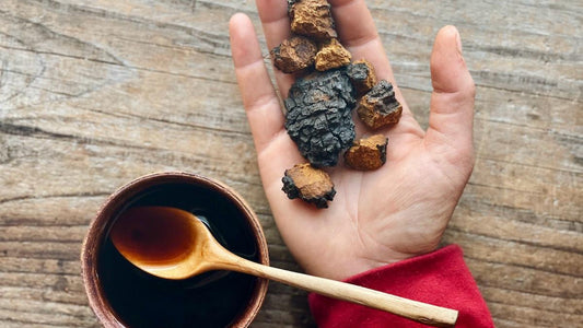 Organic Siberian Chaga Capsules