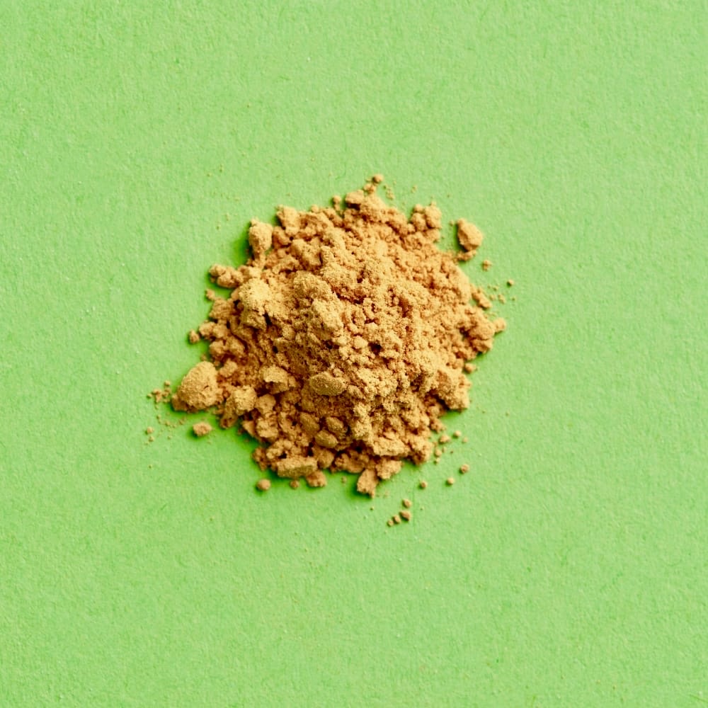 Organic Lions Mane Capsules